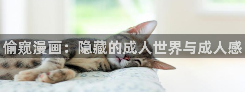 羞羞漫画?：偷窥漫画：隐藏的成人世界与成人感