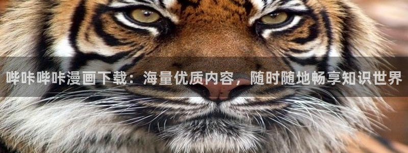 羞羞漫画在线观看页面免费入口comn网址