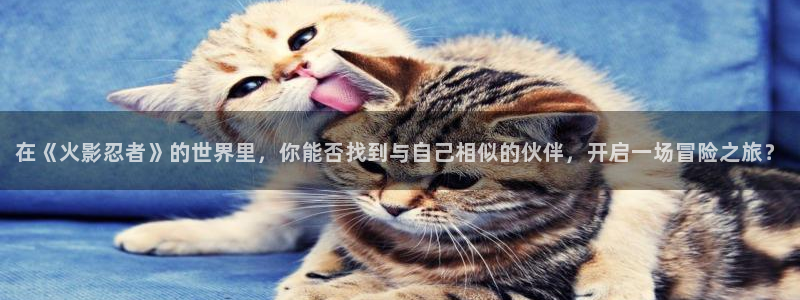 .com羞羞漫画：在《火影忍者》的世界里，你能否找到与自己相似的伙伴，开启一场冒险之旅？